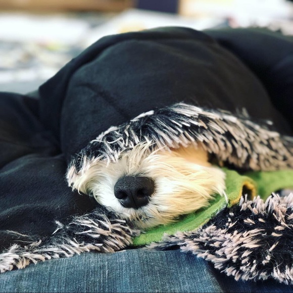 Meet your Posher, Monica - Picture 1 of 1